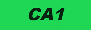 Ca1